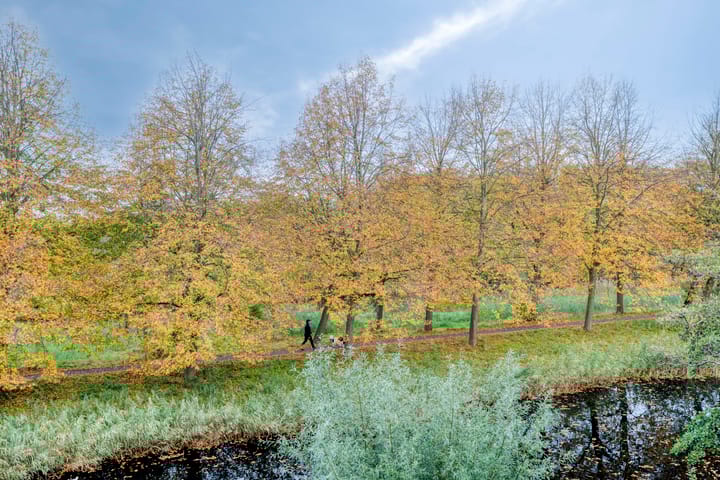 Foto 27 van Tussendek 56