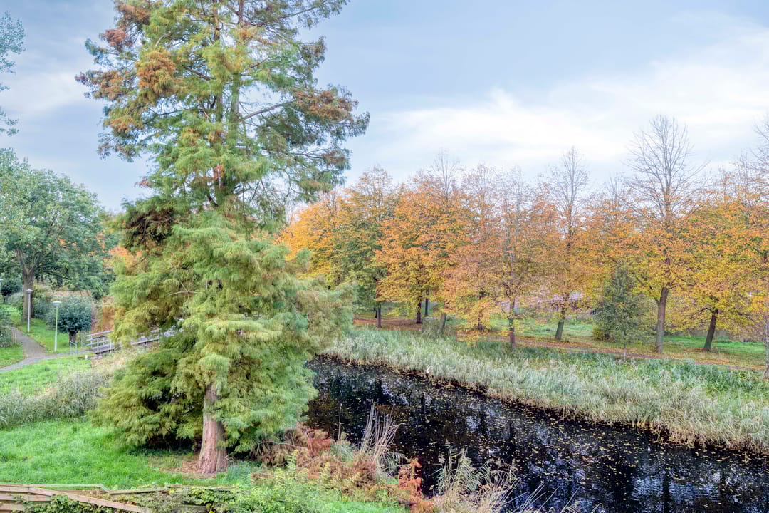 Foto 28 van Tussendek 56