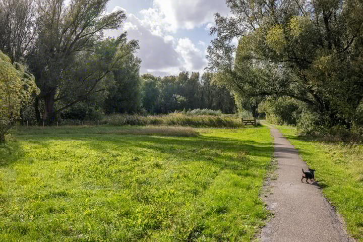 Photo 32 of Carolinen 9