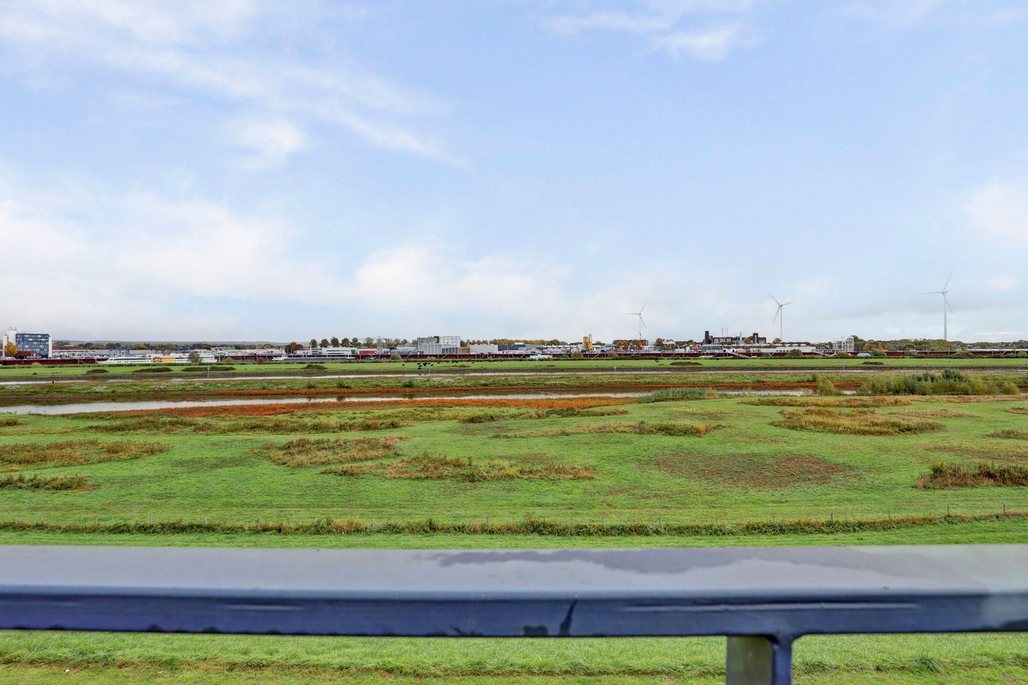 Photo 35 of Fanny Blankers-Koenstraat 103