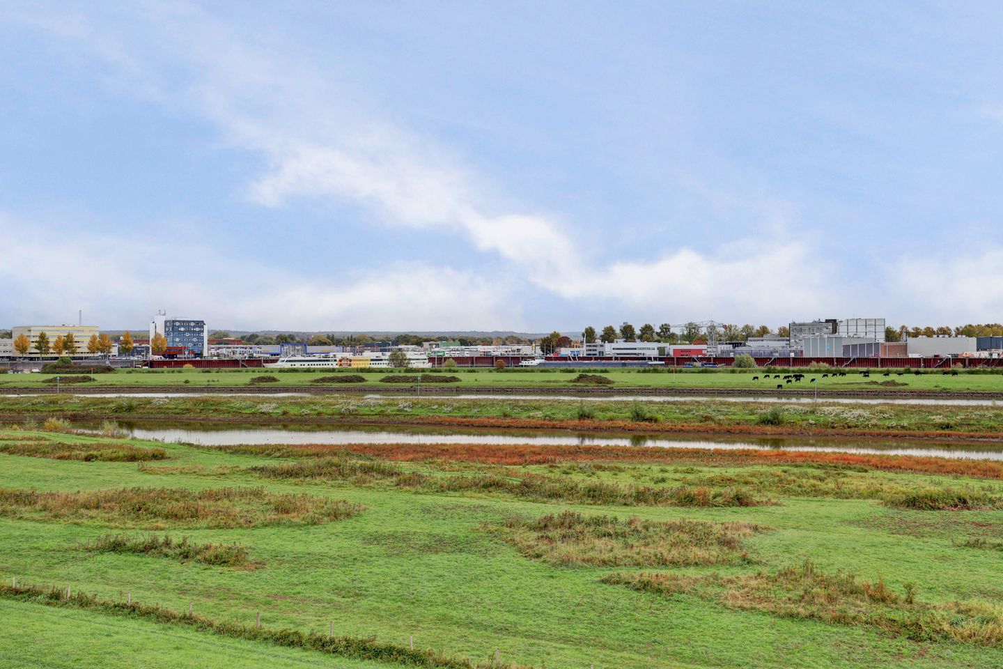 Photo 40 of Fanny Blankers-Koenstraat 103