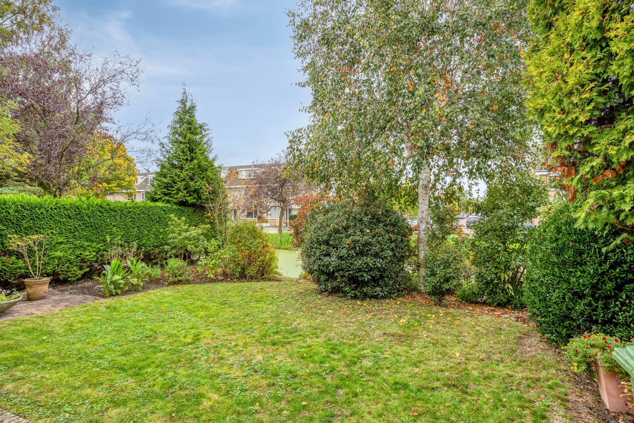 Foto 39 van IJsbaan 93