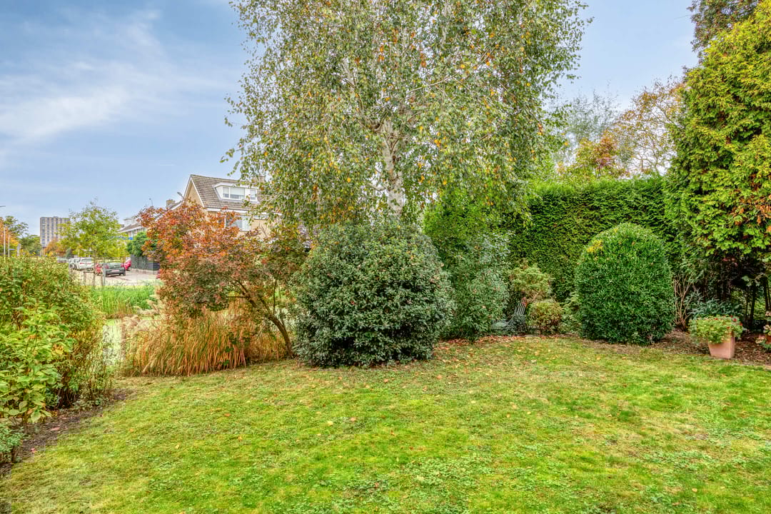 Foto 41 van IJsbaan 93