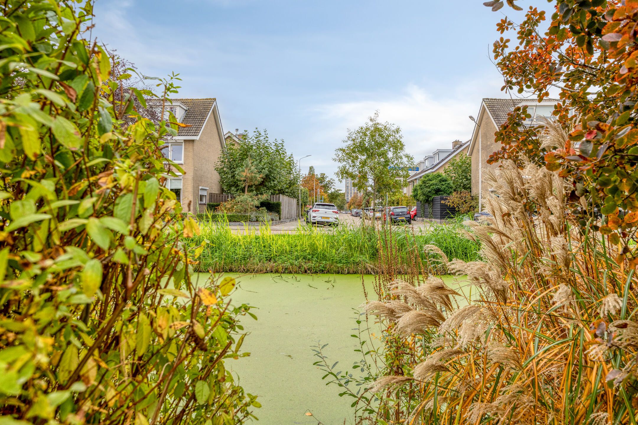 Foto 42 van IJsbaan 93