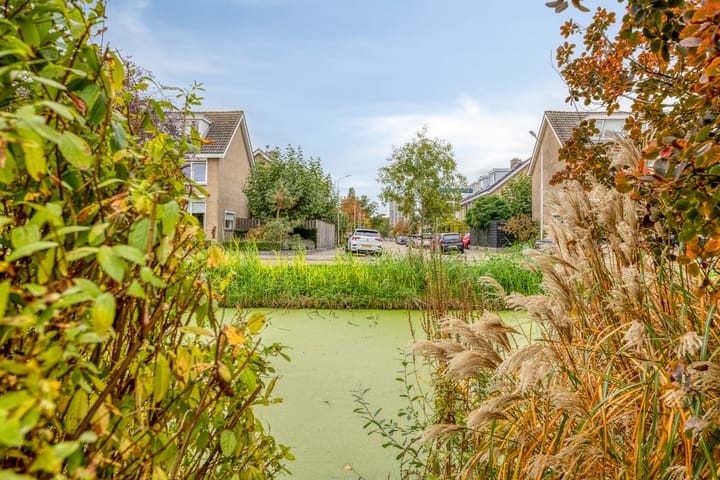 Foto 42 van IJsbaan 93