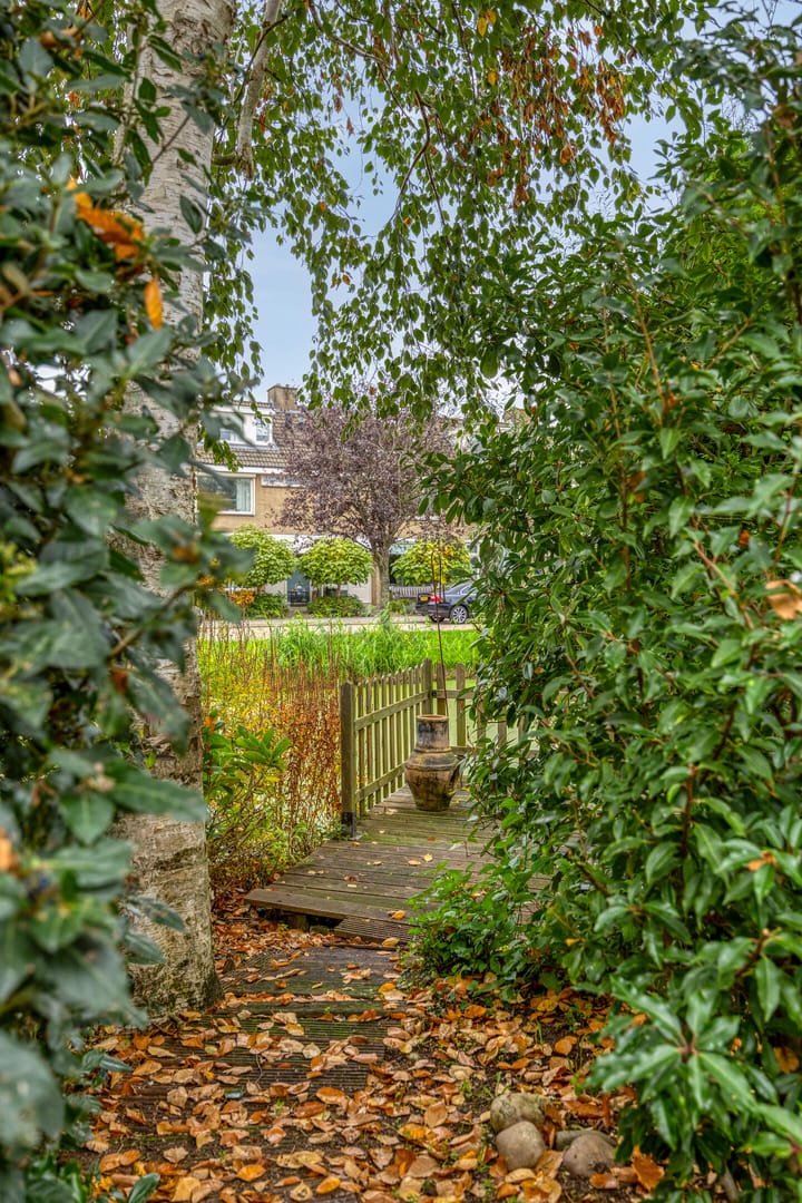 Foto 43 van IJsbaan 93