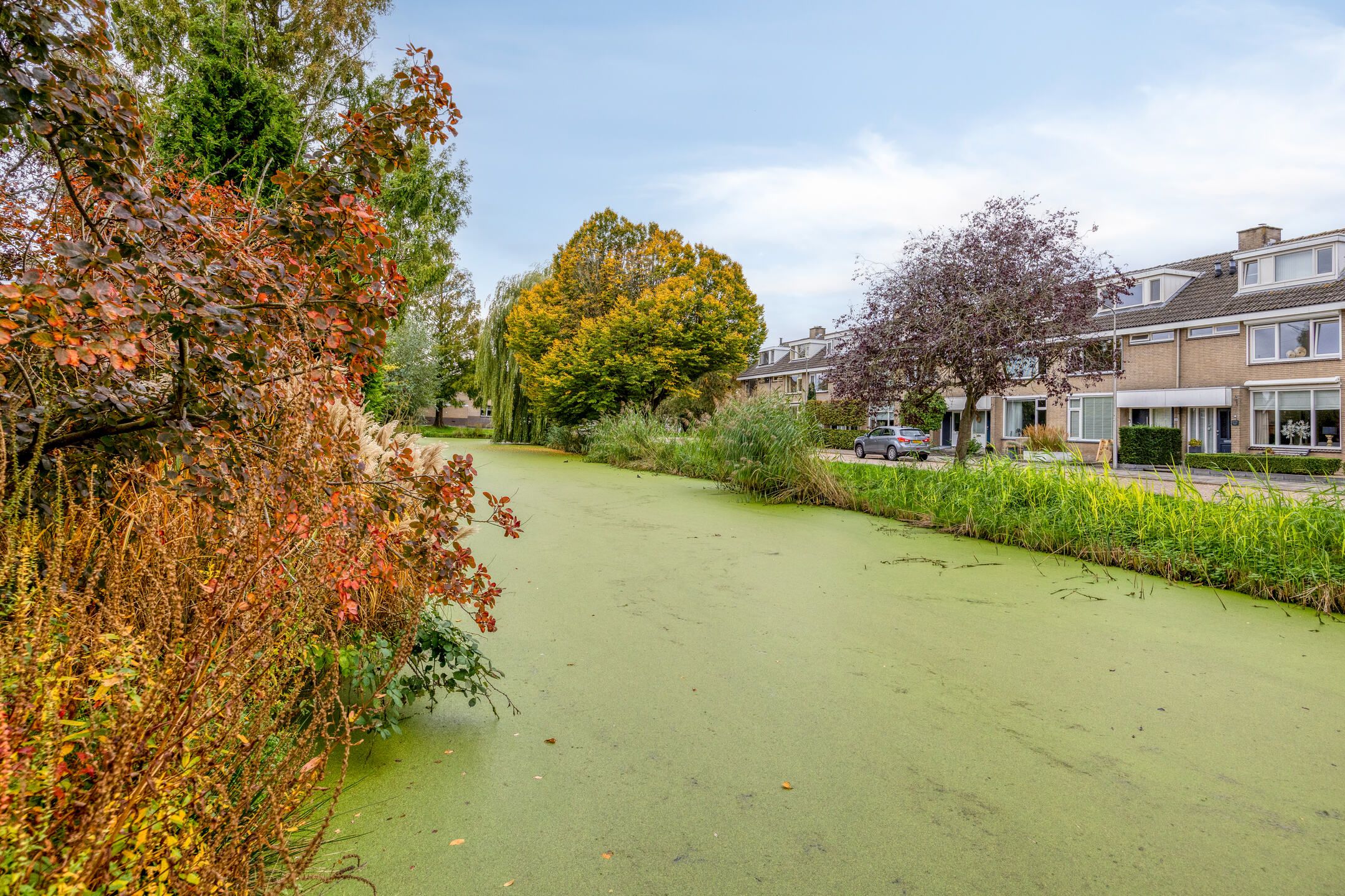 Foto 45 van IJsbaan 93