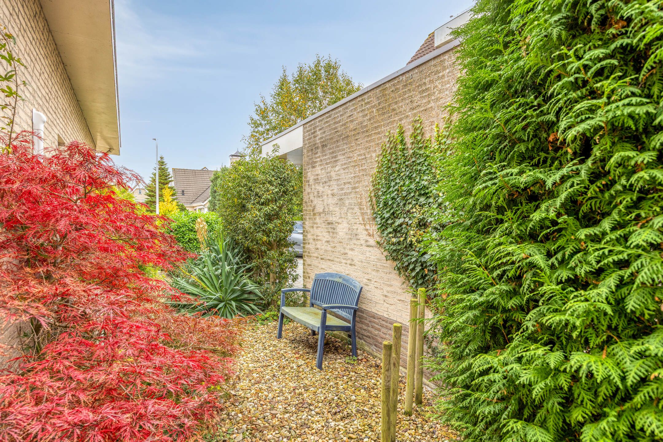 Foto 48 van IJsbaan 93