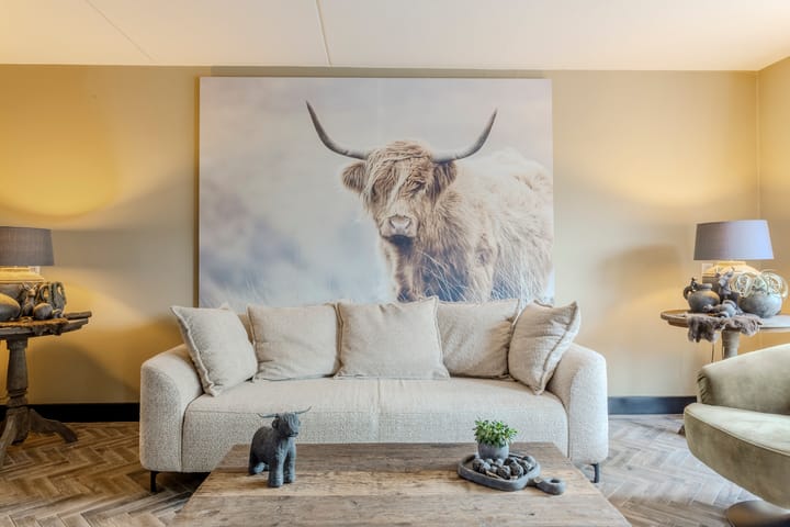 Foto 16 van Zandakker 12