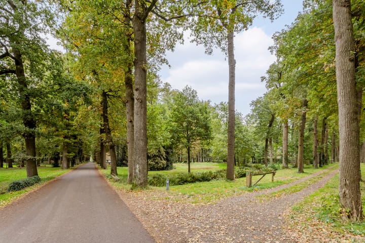 Foto 62 van Zandakker 12