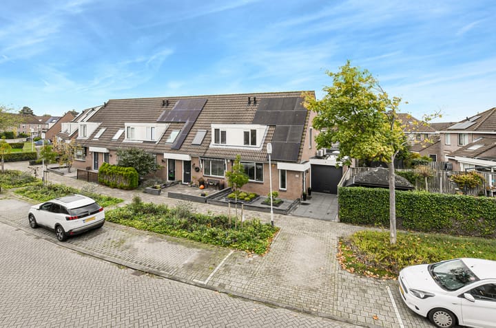 Foto 2 van Koekoeksbloem 2