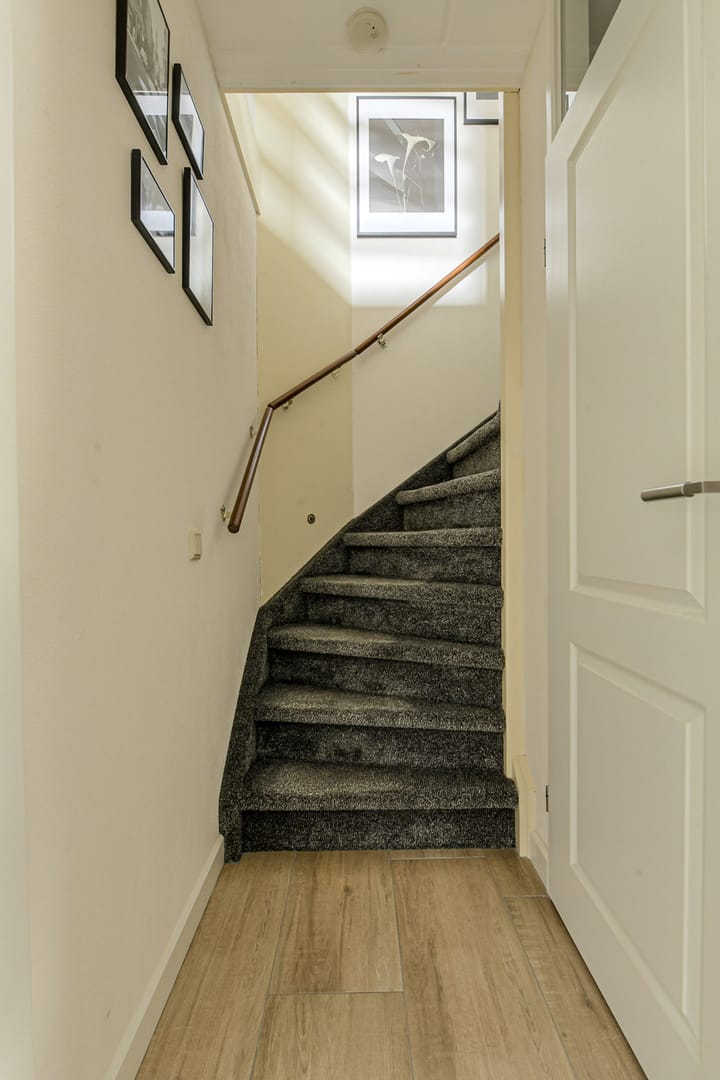 Foto 19 van Koekoeksbloem 2