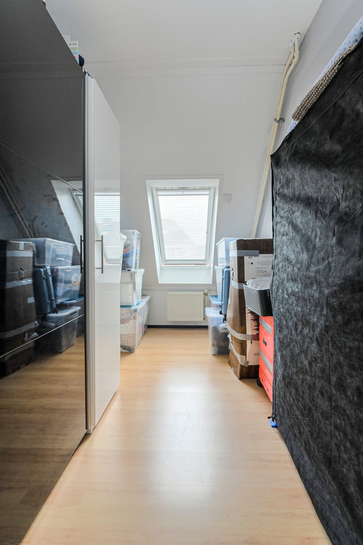 Foto 28 van Koekoeksbloem 2