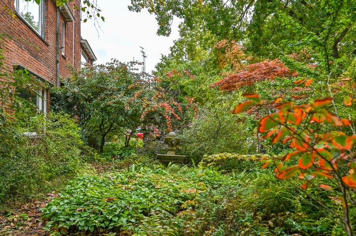 Foto 37 van Thorbeckelaan 35