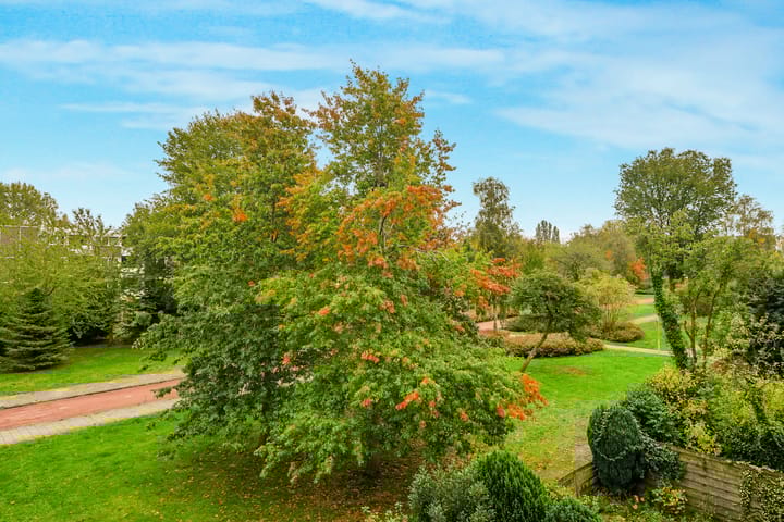 Foto 3 van Montfoorthof 155