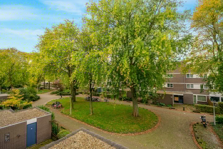 Foto 20 van Montfoorthof 155