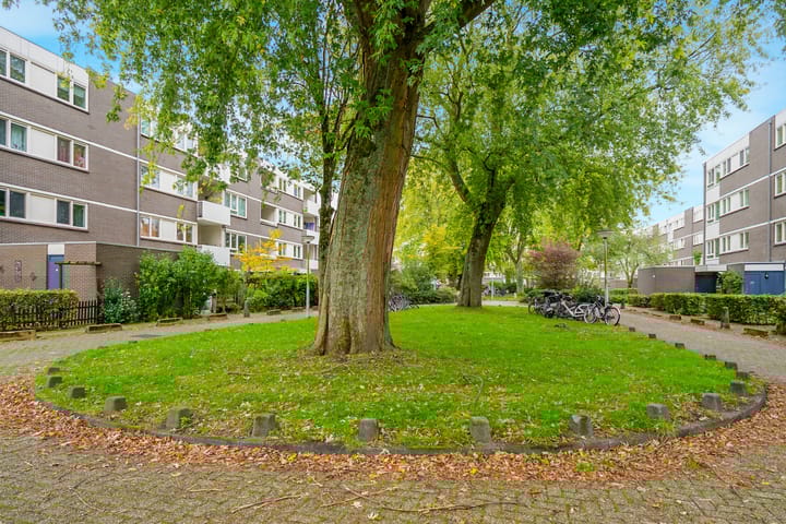 Foto 23 van Montfoorthof 155