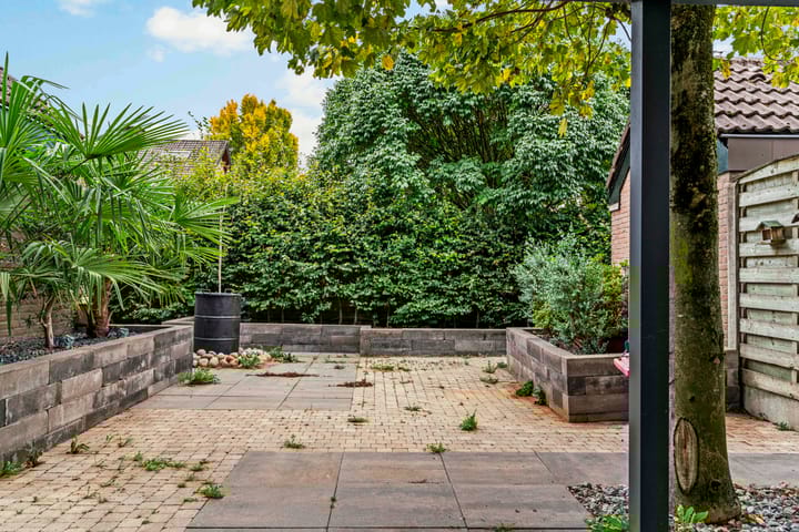 Foto 20 van Pater Pelzersstraat 18-A