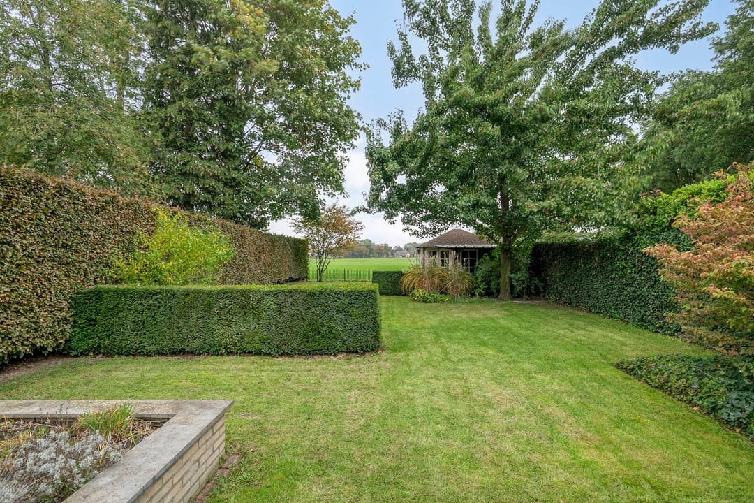 Foto 37 van Vlinkert 21