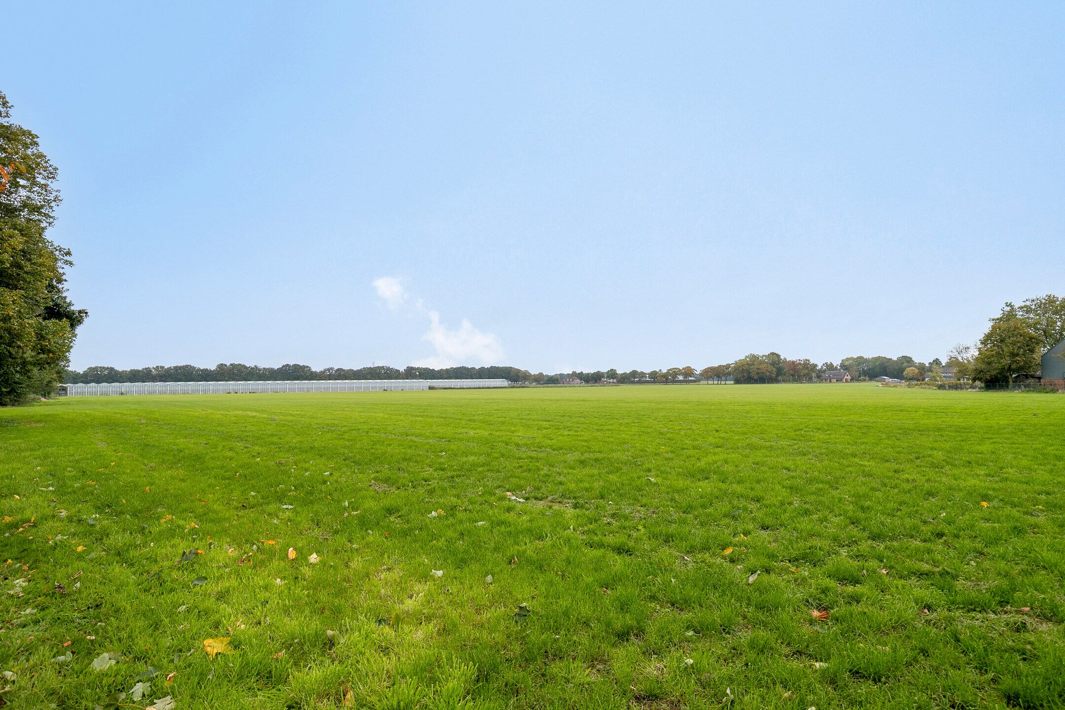 Foto 42 van Vlinkert 21