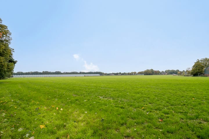 Foto 42 van Vlinkert 21