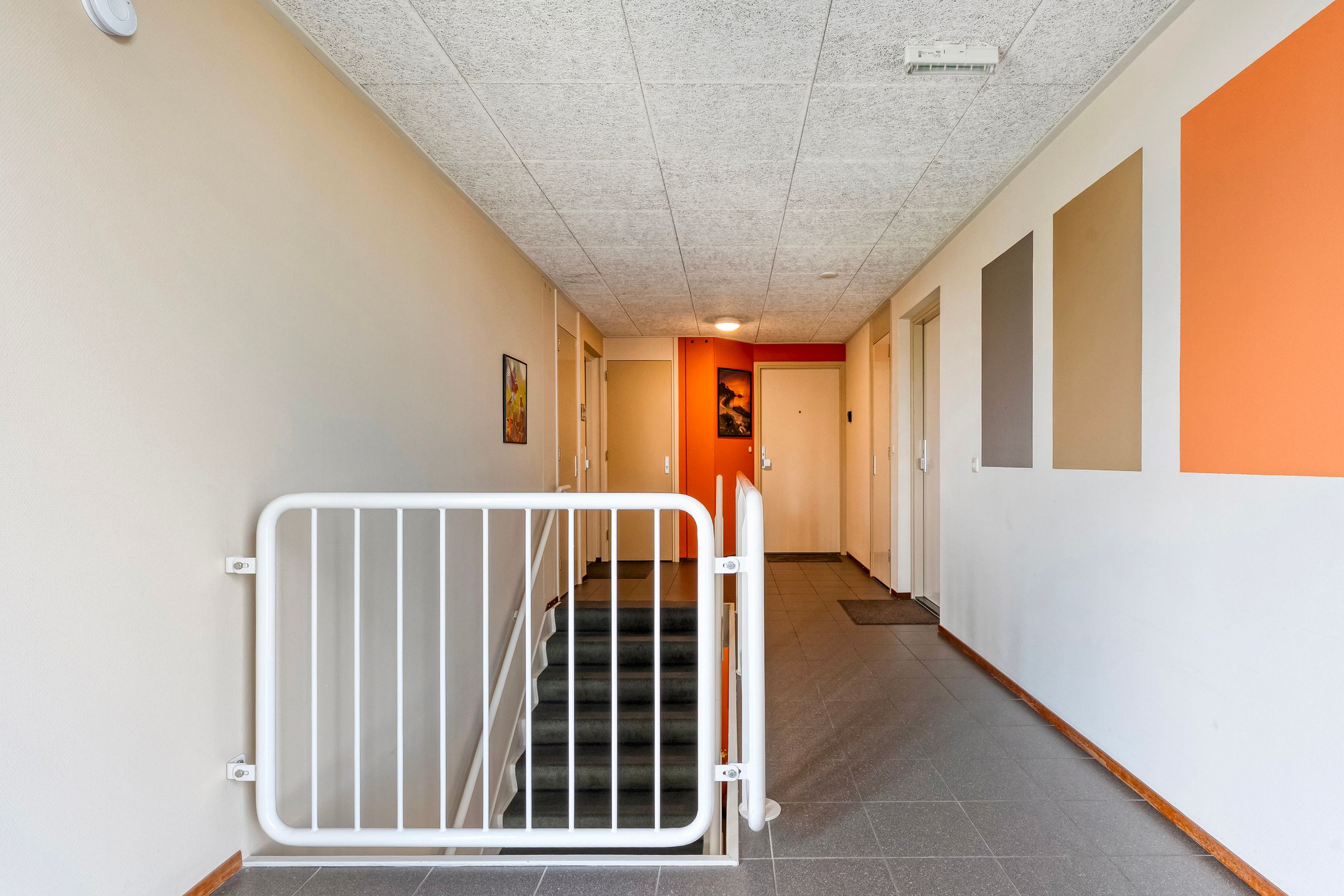 Foto 24 van Korenbloemweg 2-H