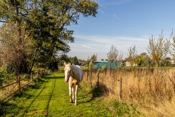 Photo 3 of Haarendijk 36