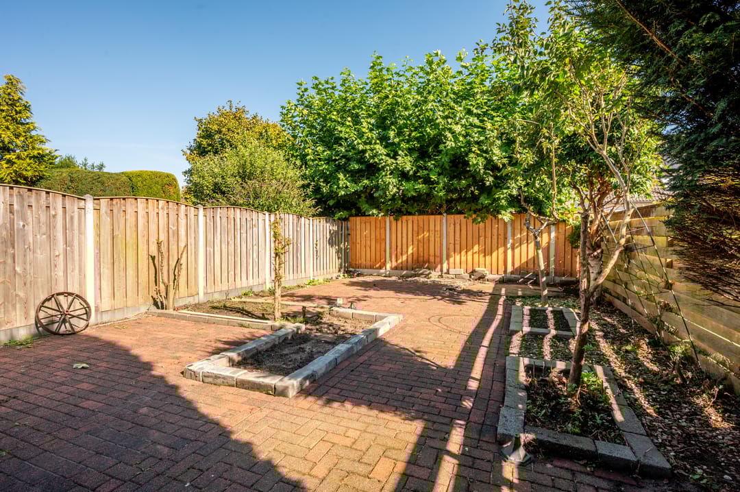 Photo 11 of De Sallandse Roe 40