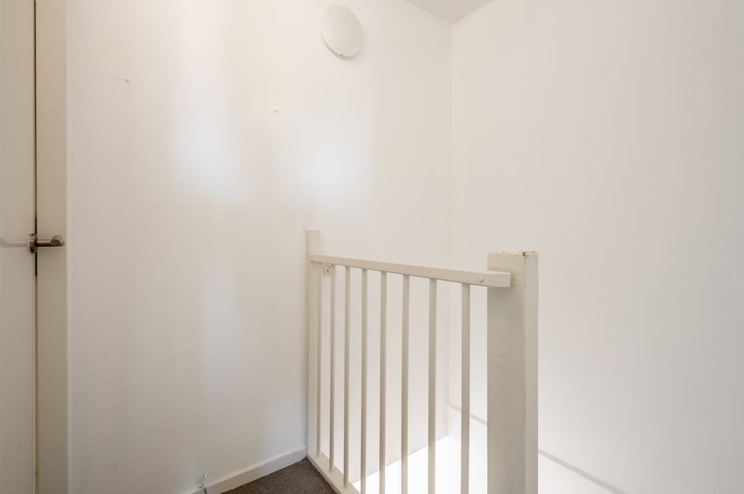 Photo 16 of De Sallandse Roe 40