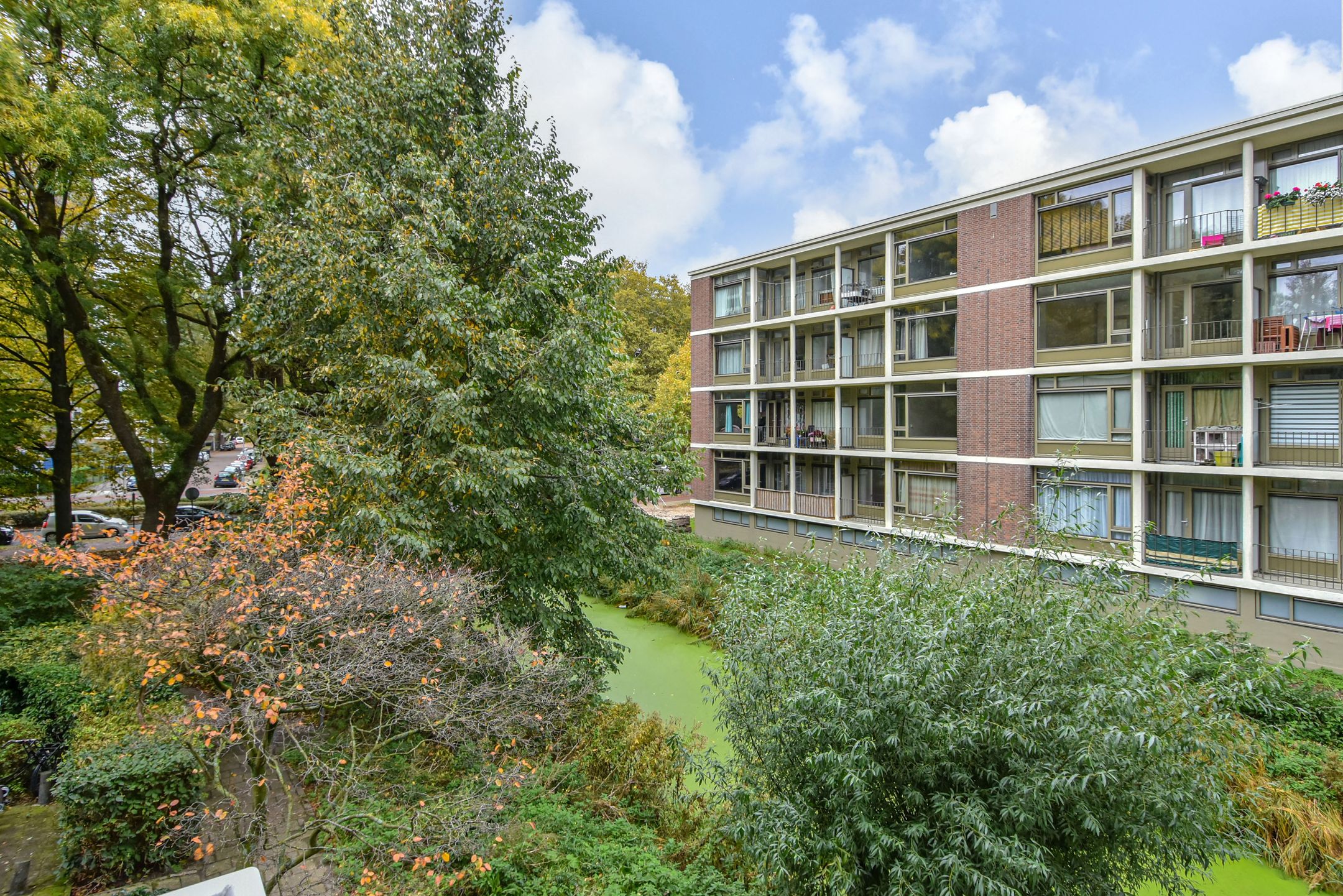 Foto 39 van Denenburg 18