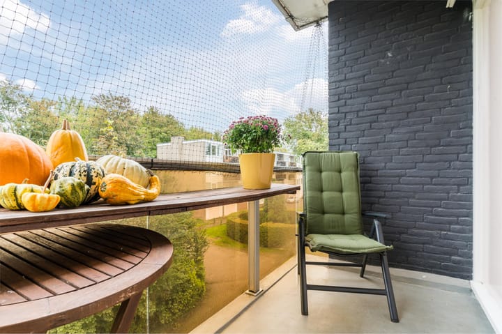 Foto 44 van Cornelis Pronklaan 171