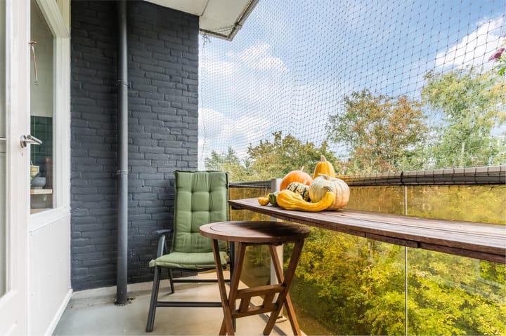 Foto 45 van Cornelis Pronklaan 171