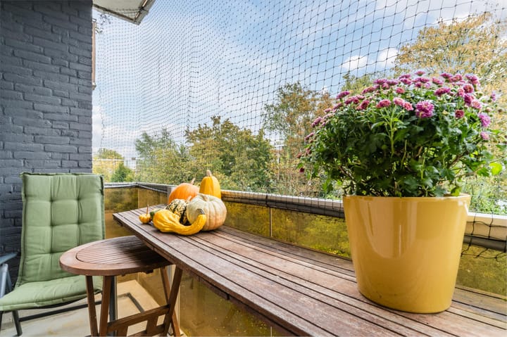 Foto 46 van Cornelis Pronklaan 171