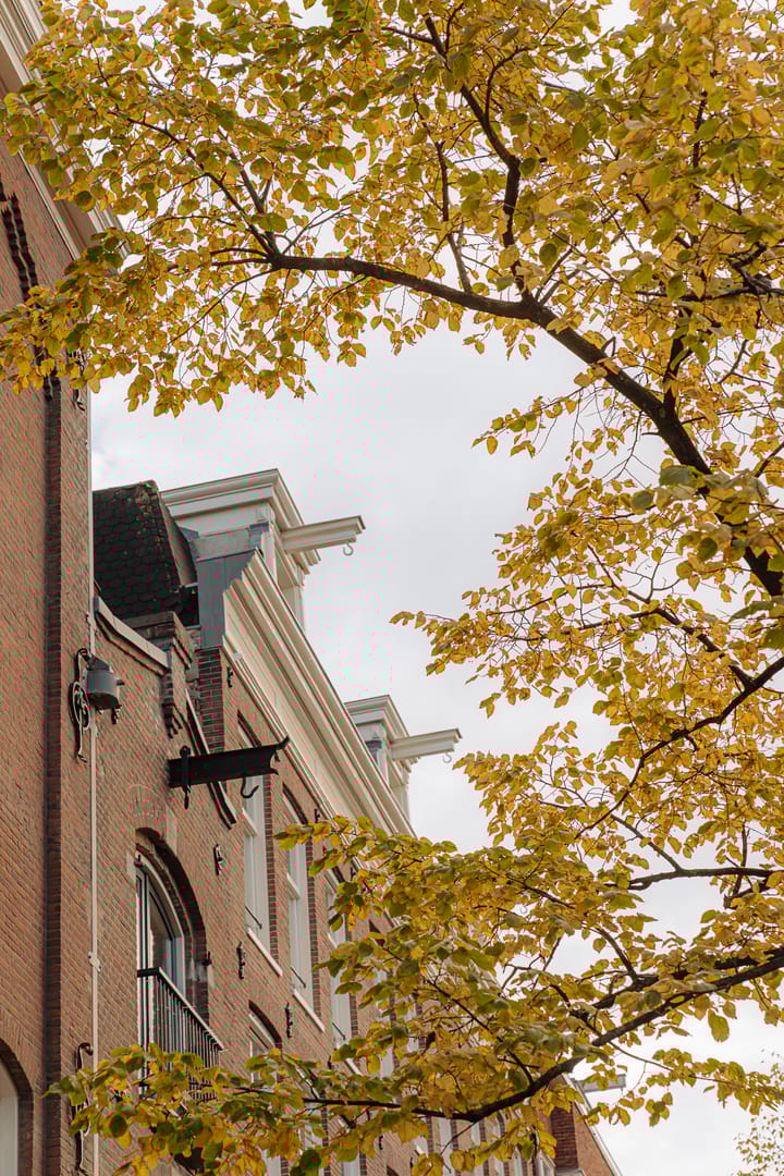 Foto 3 van Lijnbaansgracht 58-A4