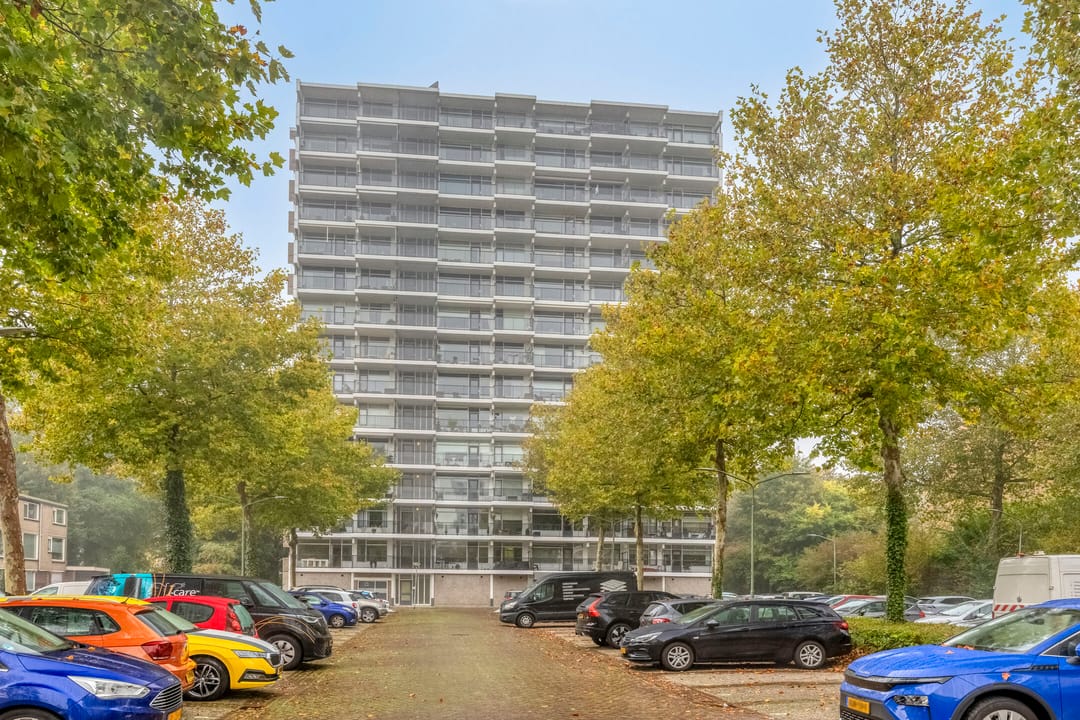 Foto 2 van Octant 181