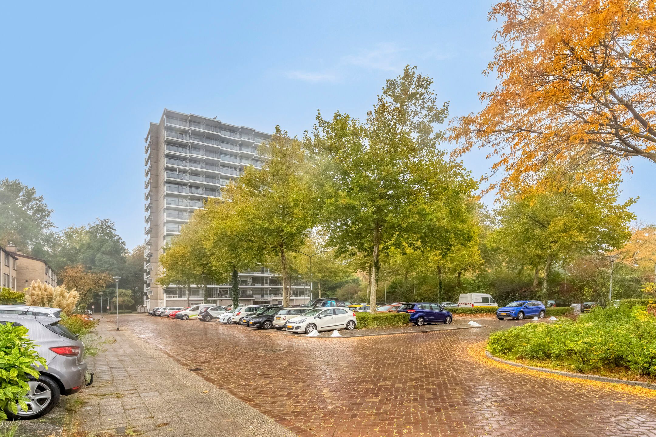 Foto 3 van Octant 181