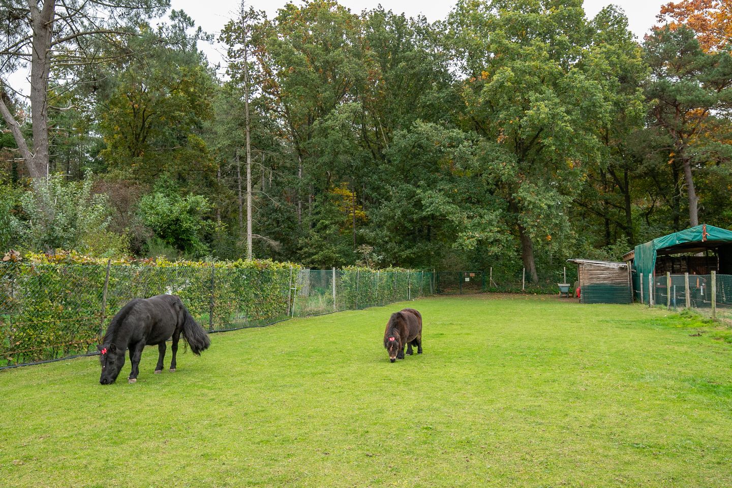 Foto 34 van Kerkweg 103