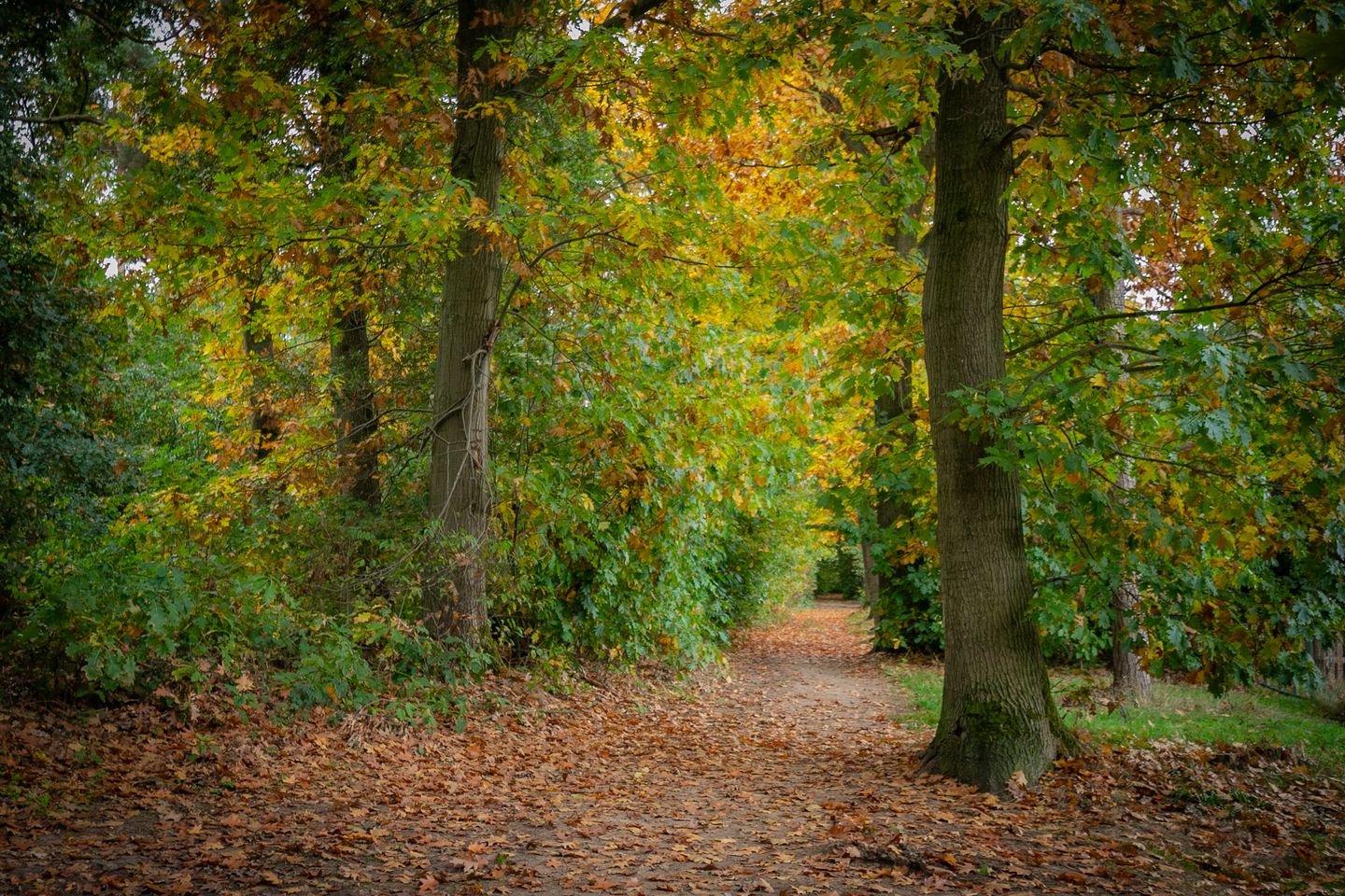 Foto 35 van Kerkweg 103