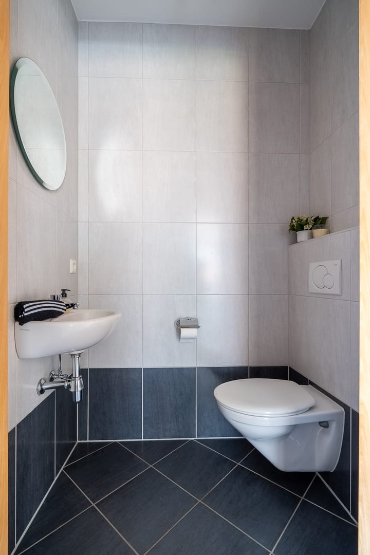 Photo 25 of Meerkoet 22