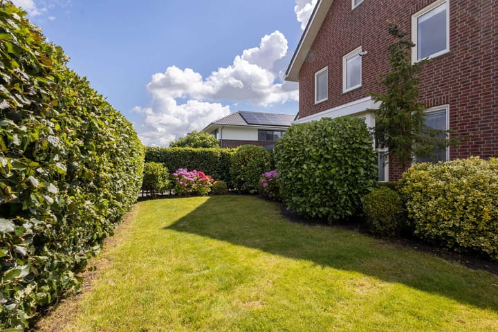 Photo 47 of Meerkoet 22