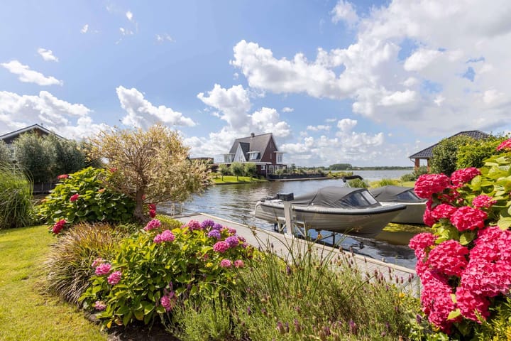 Photo 61 of Meerkoet 22