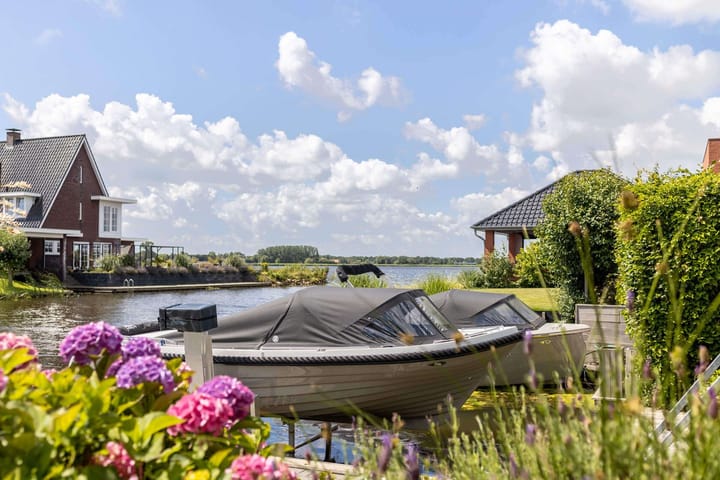 Photo 62 of Meerkoet 22