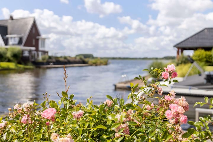 Photo 58 of Meerkoet 22