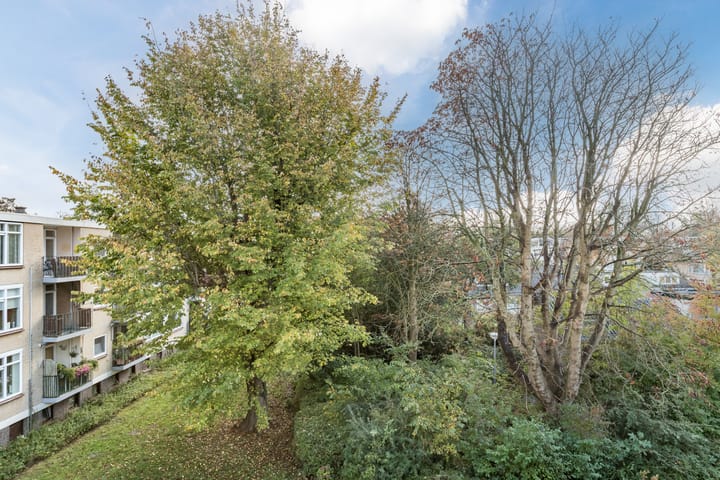 Foto 29 van Van de Veldelaan 79