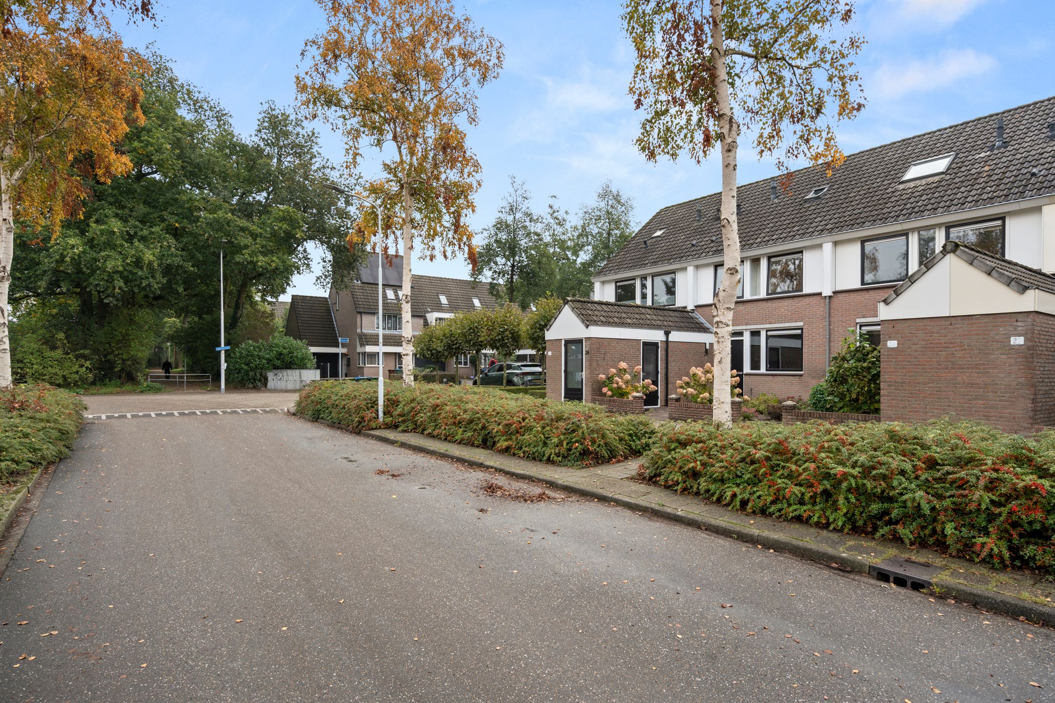 Foto 6 van D'Hondecoeterstraat 26