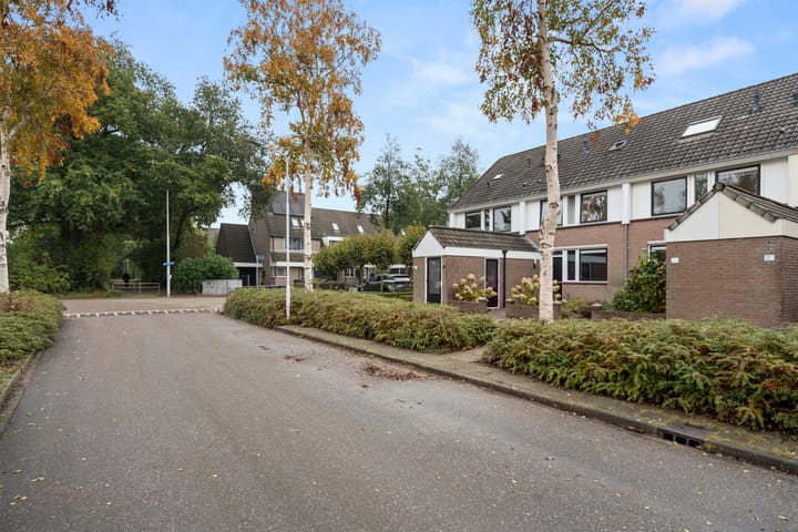 Foto 6 van D'Hondecoeterstraat 26