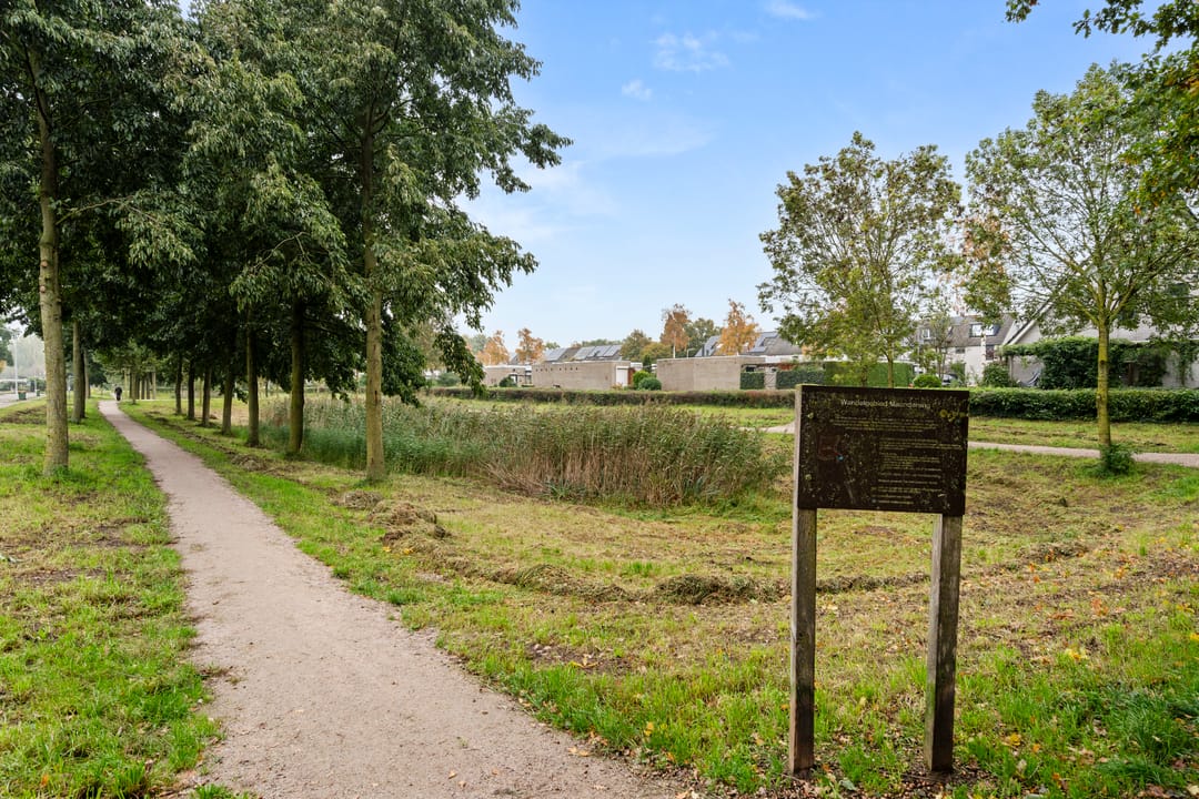 Foto 16 van D'Hondecoeterstraat 26