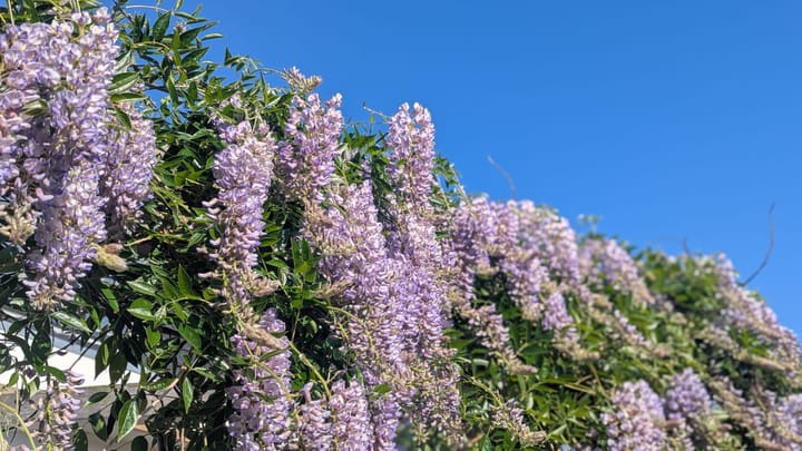 Foto 24 van Hoge Geest 47