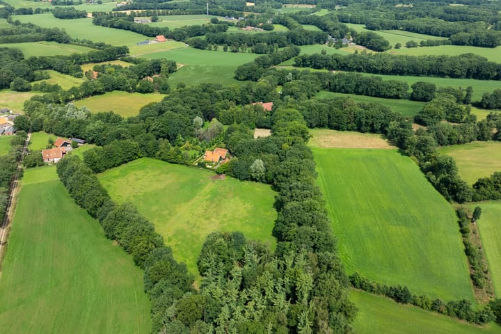 Foto 12 van Leeferdinklaan 4