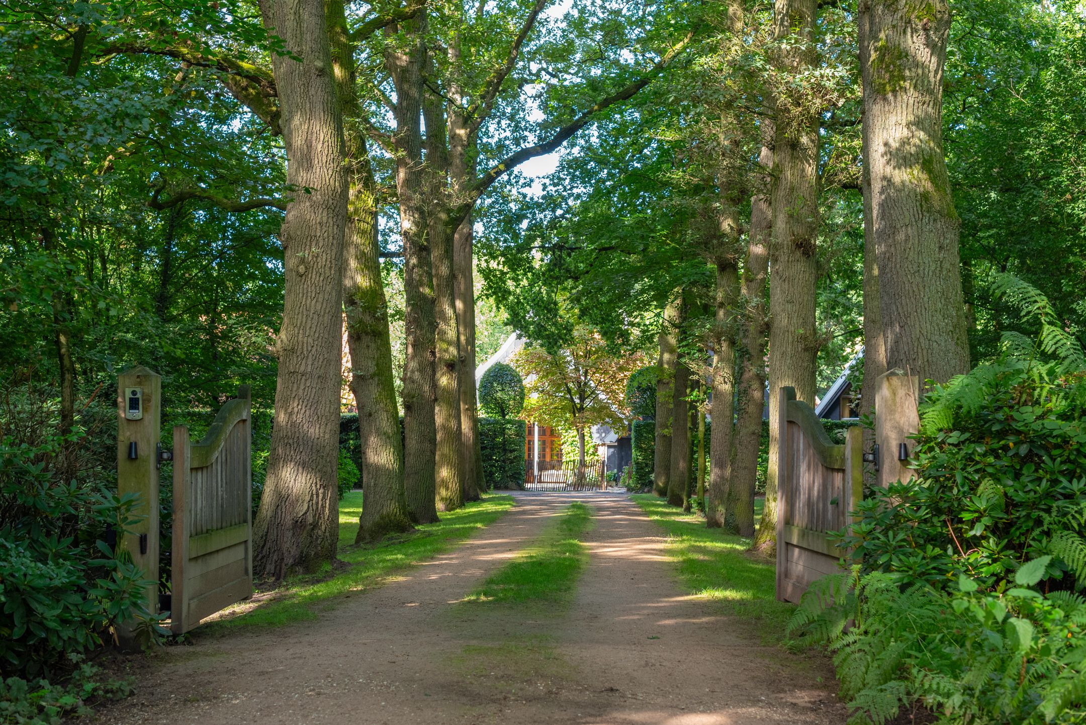 Foto 21 van Leeferdinklaan 4